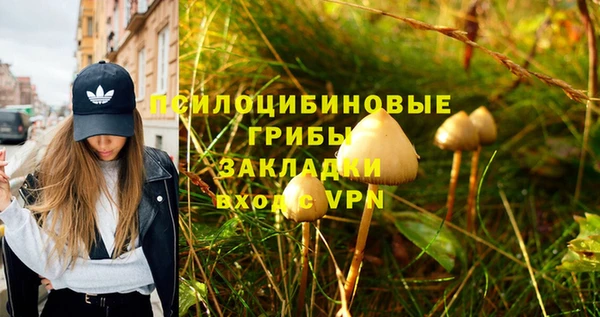 не бодяженный Арсеньев