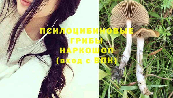 не бодяженный Арсеньев