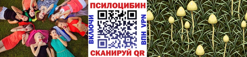 Галлюциногенные грибы MAGIC MUSHROOMS  Нязепетровск 